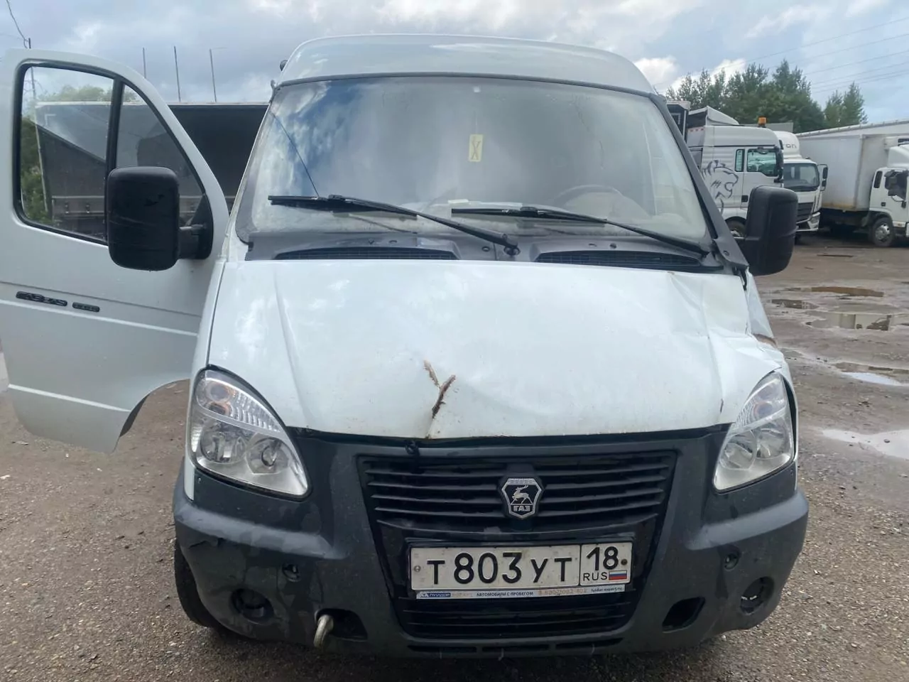 Газель БИЗНЕС Микроавтобус
