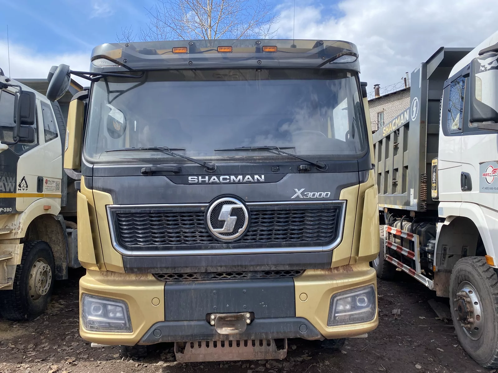 Shacman (Shaanxi) SX331863366 8x4 Самосвал