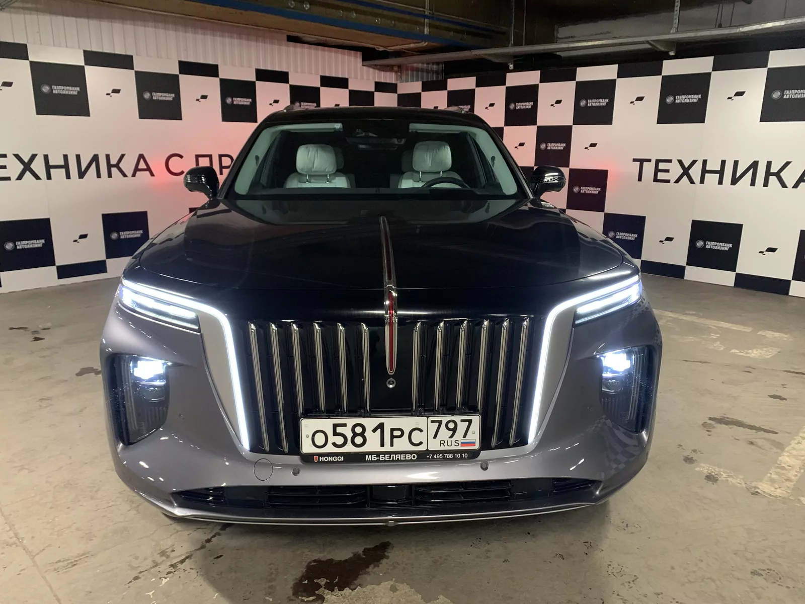 HONGQI E-HS9