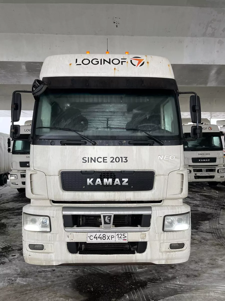 КамАЗ 5490 4x2 Седельный тягач