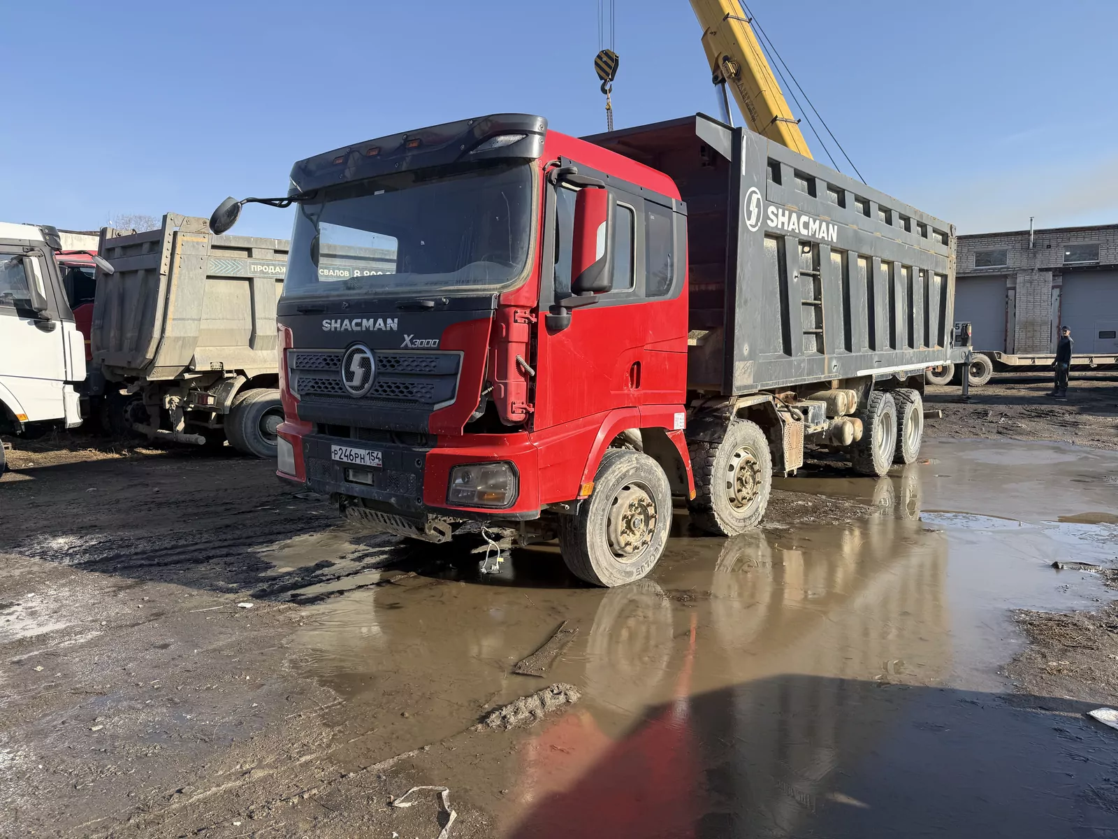 Shacman (Shaanxi) SX33186V366 8x4 Самосвал